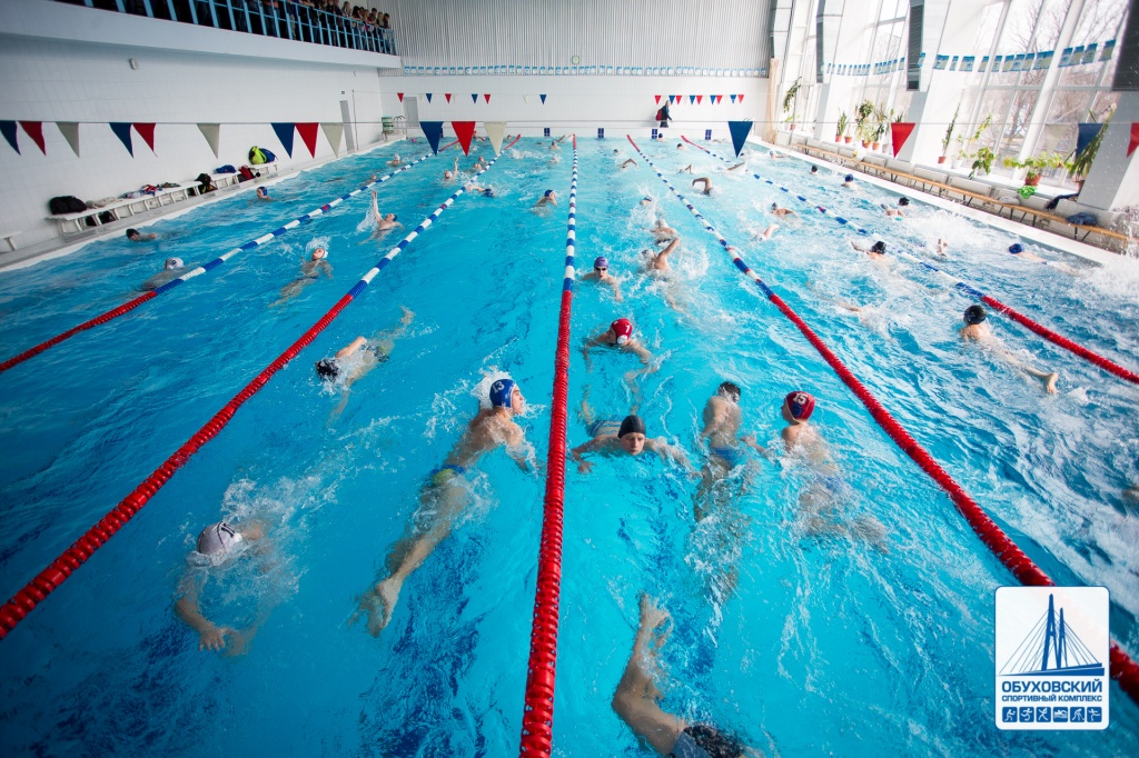 Соревнования по плаванию в группах "Водное поло"